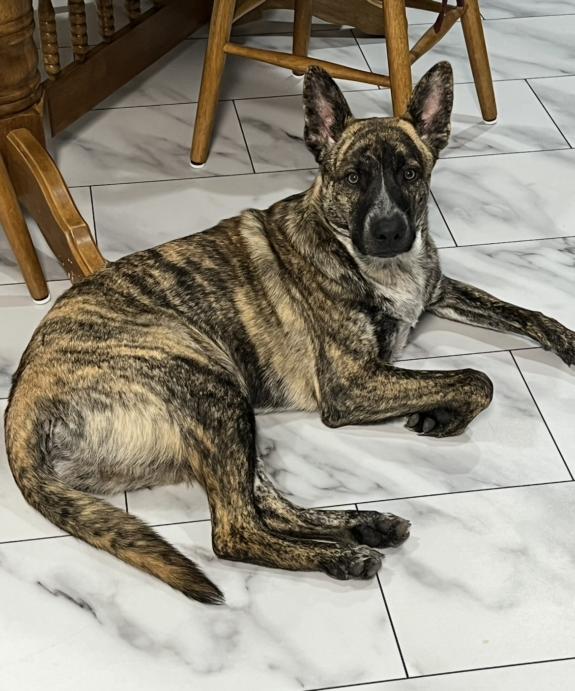 Caesar