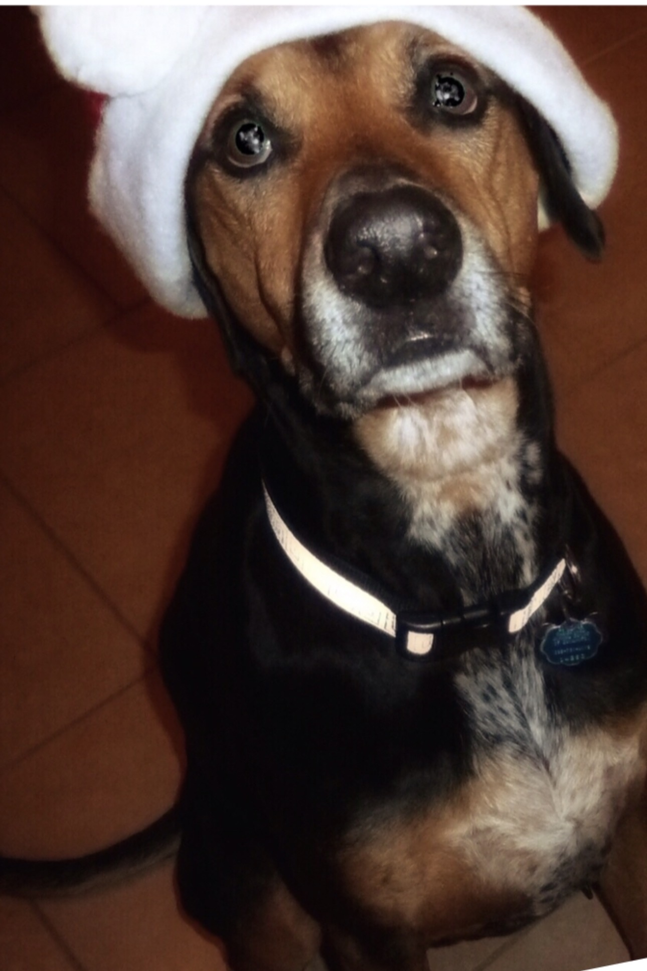 Gus